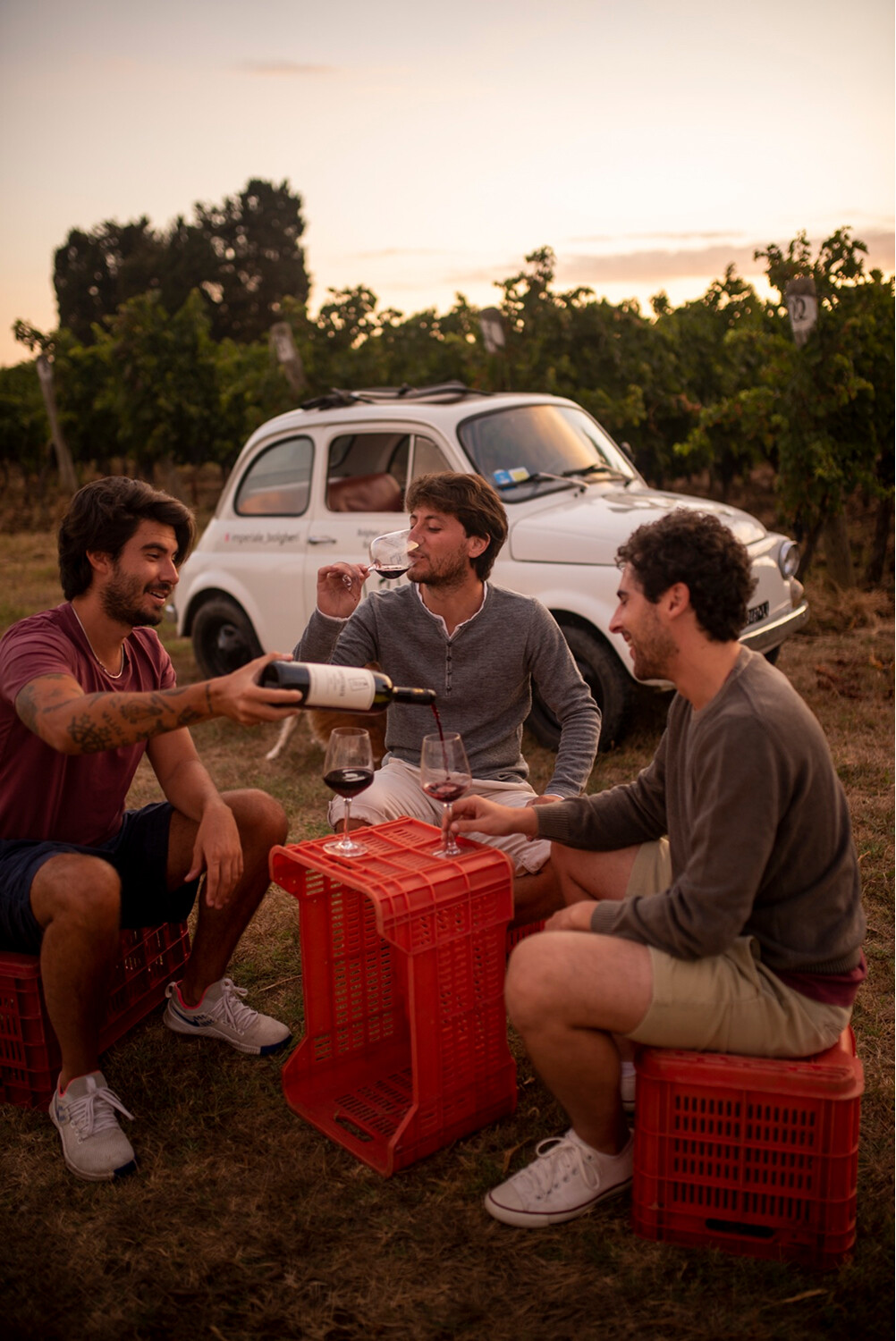 bolgheri-drinkinmoderation35.1002x0