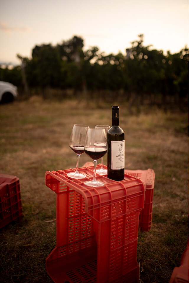 bolgheri-drinkinmoderation39.640x0