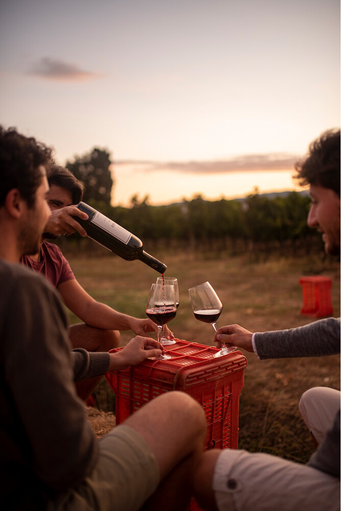 bolgheri-drinkinmoderation44.668x0
