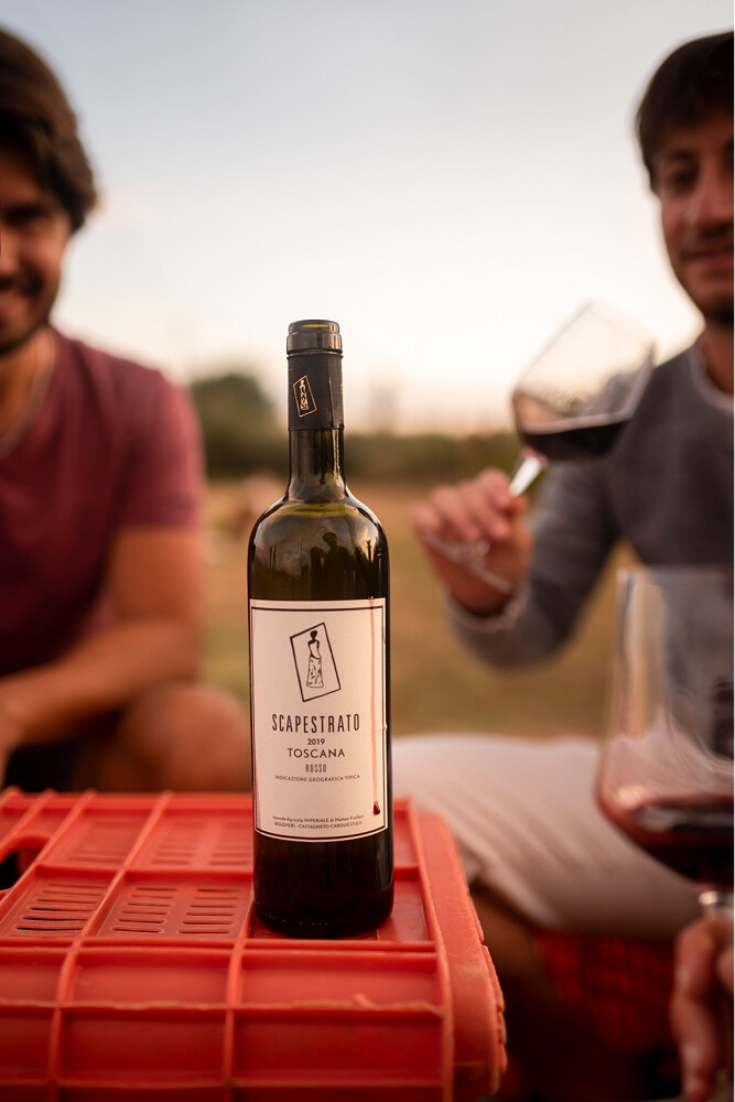 bolgheri-drinkinmoderation62.667x0